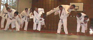 Judo_alt